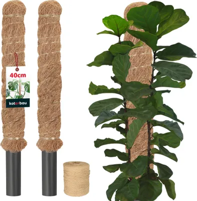 Produktbild von KOTARBAU® 2er Set Moosstab für Monstera ⌀ 3,2x40cm Rankhilfe für Zimmerpflanzen Pflanzstab Kokosstab  Pflanzenstütze aus Kokosfaser Braun