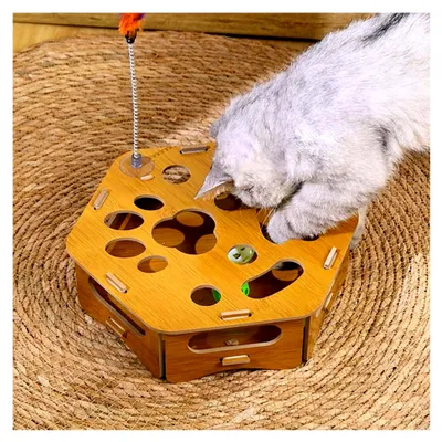 Produktbild von Krallenpflege-Box für Katzen, Kätzchen-Bewegungsspielzeug, Indoor-Katzenspielzeug