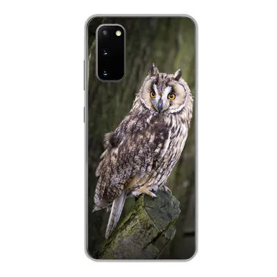 Produktbild von MuchoWow® Handyhülle Schutzhülle Hülle für Samsung Galaxy S20 Eule - Nahaufnahme - Baum Silikon Softcase Handy Hülle - Bild