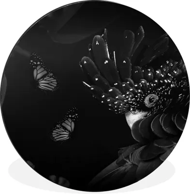 Produktbild von MuchoWow® Aluminium Wandkreis Schmetterlinge - Pflanzen - Dschungel - Schwarz - Weiß Ø 90 cm Wanddeko Modern Wohnzimmer - Mauerkreis - Wandbilder - Runde Bild - Bild aus Aluminium - Schlafzimmer - Wohnzimmerdekoration - Wand Dekoration