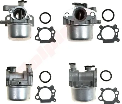 Image de Carburateur Pour Briggs & Stratton ( 794304 , 790845 , 796707 , 799866 , 799871 )