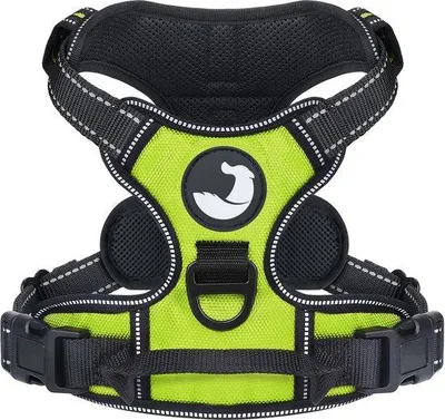 Produktbild von Hundeleine für große Hunde, reflektierende Hundeleine, bequem gepolstert, verstellbares Hundegeschirr mit Griff, grün, L