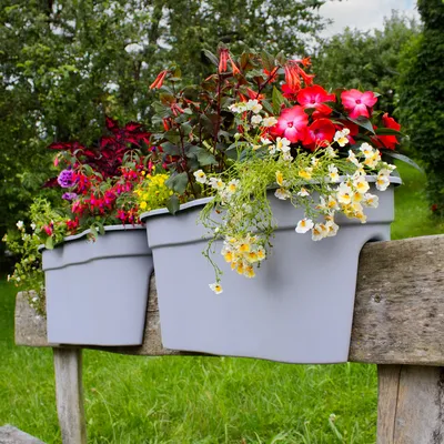 Produktbild von Geländer Blumenkasten Flowerclip XL 2er Set - Pflanzkasten 57cm Anthrazit Kunststoff - Wetterfest & Pflegeleicht, Farbe:Grau