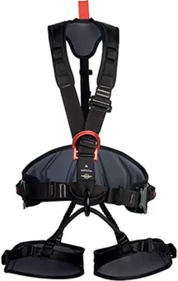 Image de Roof Master S