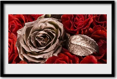 Produktbild von Bild 60x40 MDF-Rahmen Wandkunst Rosen Blumen