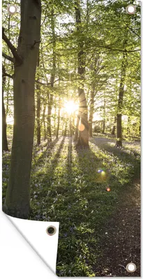 Produktbild von MuchoWow® 80x160 cm Outdoor-Poster Gartendeko Sichtschutz Garten Poster für den Garten  Wald - Baum - Sonne