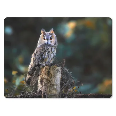 Produktbild von MuchoWow® Mauspad Mousepad Eule - Herbst - Vogel - Äste 23x19 cm - Mousepads - Maus Mat - Pad - Mausunterlage - Schreibtischunterlage - Mauspad