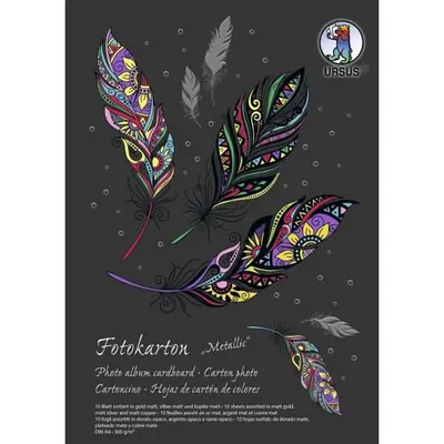 Produktbild von Fotokarton Sonderedition 300g/qm A4 VE=10 Blatt 3 Farben sortiert