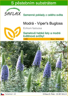 Obrázek produktu pro SAFLAX - Modrá - Viper's Bugloss - Echium fastuosa - 100 Semena - S pěstebním substrátem bez klíčků