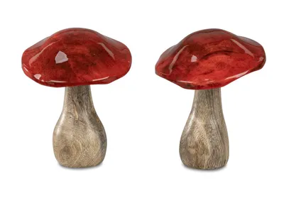 Produktbild von 2er Set Deko Pilze HERBSTFARBEN H. 16,5cm rot natur Mango Holz Formano H25