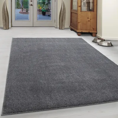 Zdjęcie produktu dla Dywan ATA LIGHTGREY 120 X 170cm prostokąt