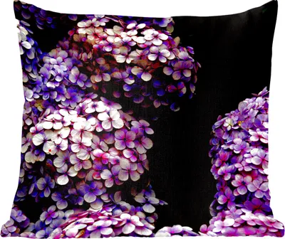 Produktbild von MuchoWow® Zierkissen Sofakissen Wohnzimmer Dekokissen 60x60 cm Hortensie schwarzer Hintergrund - Sitzfläche - Foto Polster