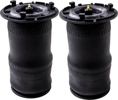Zdjęcie produktu dla 2x Tylna sprężyna pneumatyczna L+R do Buick Rainier Chevrolet Trailblazer GMC 25815604