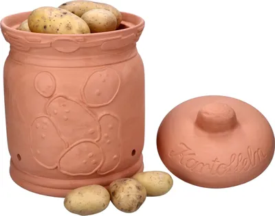 A terracotta potato pot with a lid and several potatoes.