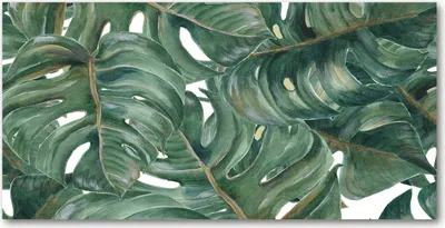 Produktbild von Tulup® Glas-Bild - 100x50 -Wandkunst - Wandbild hinter gehärtetem Sicherheitsglas  - Blumen & Pflanzen - Monstera - Grün