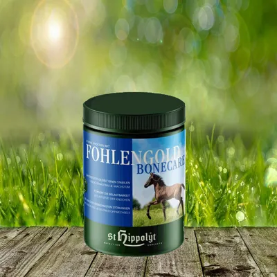 Produktbild von St. Hippolyt Fohlengold BoneCare 1 kg