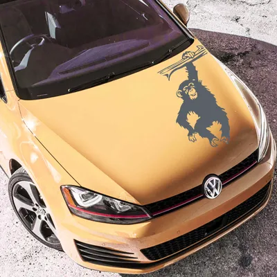 Produktbild von Aufkleber - Autoaufkleber "Schimpanse" 30cm x 18cm anthrazit - Tuning Carystyling Heckscheibe Auto