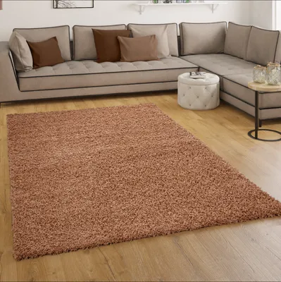 Produktbild von Shaggy Hochflor Langflor Teppich Sky Einfarbig in Terrakotta Grösse 120x170 cm