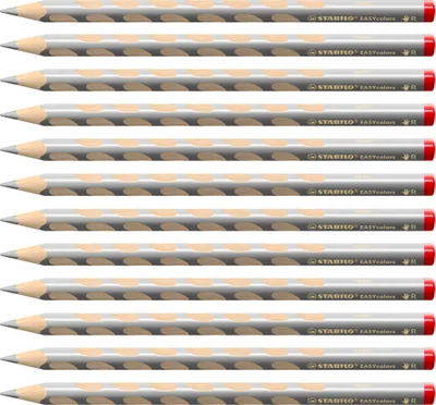 Produktbild von STABILO Ergonomischer Buntstift für Rechtshänder -  EASYcolors - 12er Pack - silber