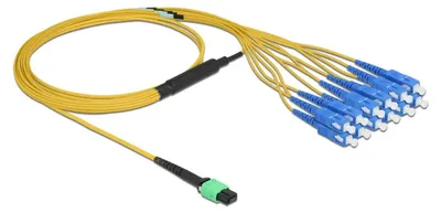 Productafbeelding van Delock vezeloptische kabel, MPO-connector naar 12 x SC simplex-connectoren, single-mode, 9/125 µm, 2 meter