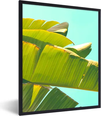 Produktbild von MuchoWow® Gerahmtes Poster Bananenblatt - Blätter - Tropisch - Sommer 30x40 cm - Poster mit Schwarzem Bilderrahmen Wandposter Rahmen Foto Bilder - Wanddeko - Kunstdrucke