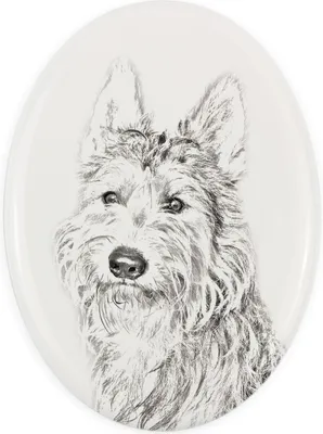 Image de Berger picard - plaque commémorative avec image de chien, pierre tombale avec impression, plaque ovale personnalisée de la marque Art-Dog