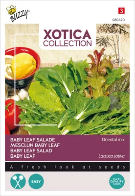 Produktbild von Buzzy Xotica Baby Leaf Salat Oriental Mischung Samen - Ca. 3 gr | Buzzy_080470
