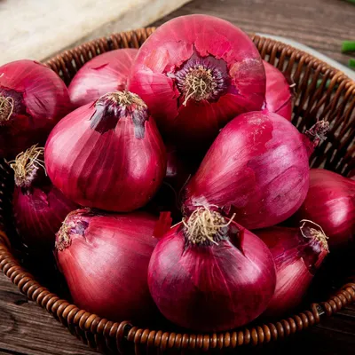 Obrázok produktu pre Steckzwiebeln Red Baron (500 g) – Zimovzdorné cibuľky – Vysoko kvalitné holandské produkty (nie semená) – Jemne pikantná zeleninová cibuľa – Veľkosť cibuliek: 14 – 21 mm