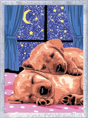Immagine prodotto di Ravensburger 202164 giocattolo artistico e artigianale