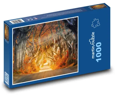 Zdjęcie produktu dla martinpuzzle - Puzzle 1000 - Drzewa przy drodze