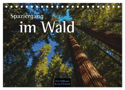 Produktbild von Spaziergang im Wald (Tischkalender 2027 DIN A5 quer), CALVENDO Monatskalender