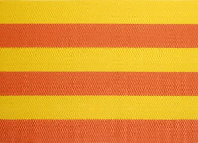 Immagine prodotto di ASA Selection: Sottopiatti in PVC, set arancione e giallo, 46 x 33 cm
