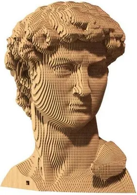 A 3D puzzle bust of David made from layered cardboard.