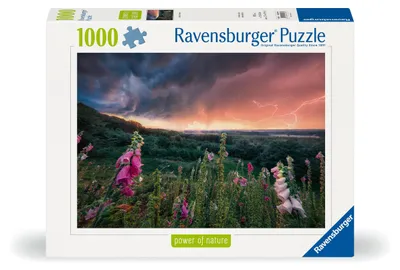 Immagine prodotto di Una tempesta colpisce Ravensburg 12000793