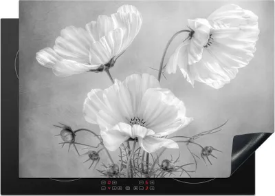 Produktbild von KitchenYeah© Herdabdeckplatte Stilleben - Blumen - Schwarz und weiß - Mohn - Botanisch , 75x52cm, Küche Deko, Glaskeramikkochfeld Herdabdeckung, Abdeckplatte fùr Kochfeld