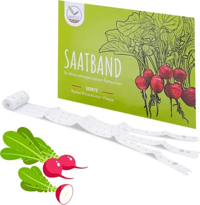 Produktbild von 5m Saatband Radieschen Samen (Radies Riesenbutter Vitessa) - Saftig, rote Radieschen ideal für die Anzucht im Garten, Balkonkasten & Gemüsebeet (Radieschen)