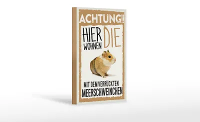 Produktbild von Holzschild Spruch 12x18 cm Tiere Achtung hier Meerschweinchen