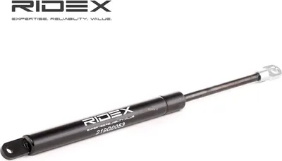 Produktbild von RIDEX 219G0267 Gasfeder Heckklappendämpfer für CITROËN C6 (TD) 387mm