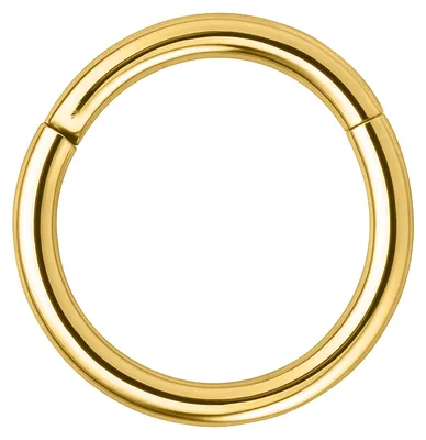 Produktbild von Wildcat Piercingringe - Hinged Segmentring aus Chirurgenstahl 316L, Körperstelle: Ohr, Nase, Lippe, Bauchnabel, Stärke: 1,2mm| Durchmesser: 8,0mm, Gold
