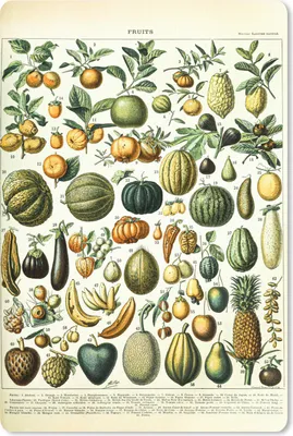 Produktbild von MuchoWow® Mauspad Mousepad Obst - Lebensmittel - Design - Vintage - Adolphe Millot 18x27 cm - Mousepads - Maus Mat - Pad - Mausunterlage