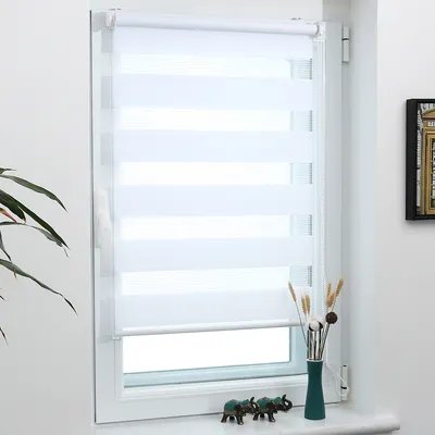 Produktbild von Grandekor Doppelrollo Klemmfix ohne Bohren 50x120cm Weiß lichtdurchlässig & verdunkelnd Duo Roll Klemmrollo für Fenster und Tür Fensterrollo Zebrarollo