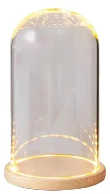 Immagine prodotto di Cupola in vetro con base in legno per decorazione