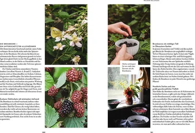 Image de Slow Gardening