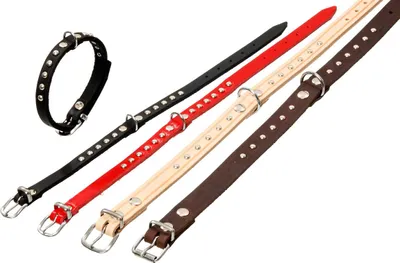 Produktbild von Karlie Halsband Rondo genietet dunkelbraun, Größe: XS