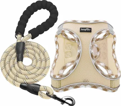 Produktbild von Hundegeschirr und Leinen-Set, Verstellbares reflektierendes Einstiegsgeschirr ohne Ziehen mit dick gepolstertem Vest für extra kleine/kleine mittelgroße Hunde.