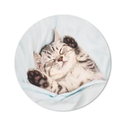 Produktbild von MuchoWow® Mauspad Mousepad Kätzchen - Bett - Pfoten - Mädchen - Kinder - Kinder - Kind 20x20 cm - Mousepads - Maus Mat - Pad - Mausunterlage - Schreibtischmatte