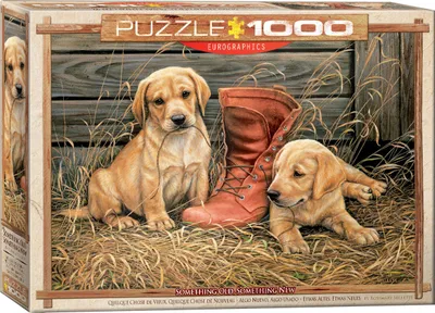 Produktbild von 1000 Teile Puzzle Hundewelpen auf dem Bauernhof