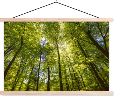 Produktbild von MuchoWow® Textilposter Wald - Sommer - Laub 120x80 cm mit holzfarbenen Rahmen - Aufhängeset