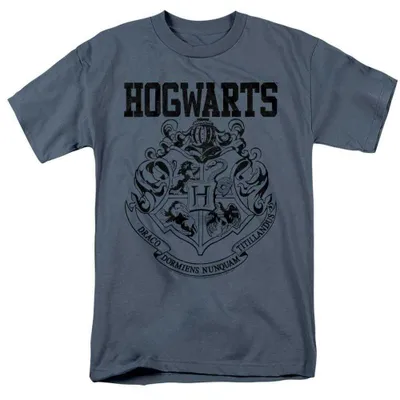Immagine prodotto di Harry Potter - T-shirt unisex da uomo/donna, modello atletico TV36688 (XL) (grigio ardesia)
