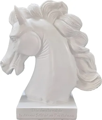 Produktbild von Weißer Pferdekopf vom dem Parthenon der Akropolis 25cm